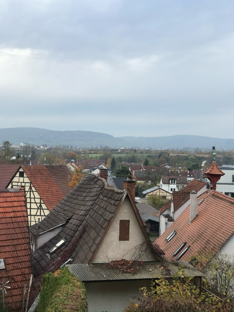 Wendlik - Historischer Gewölbekeller